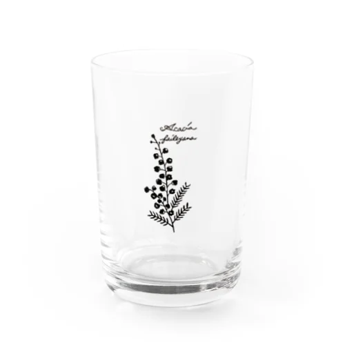 植物図鑑シリーズ…ミモザ Water Glass