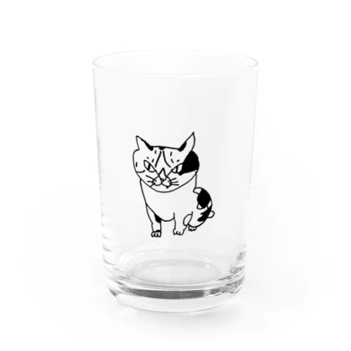 キリッとミケコはん Water Glass