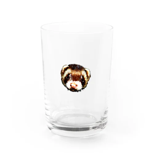 フェレットいたち Water Glass