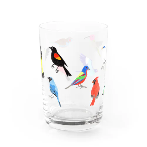 鳥パラダイス グラス