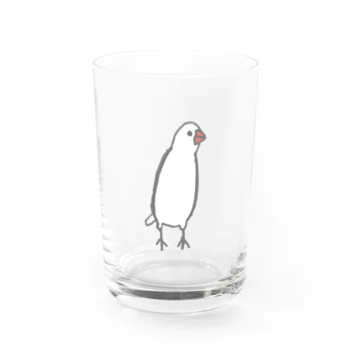 ミーアキャット文鳥 Water Glass