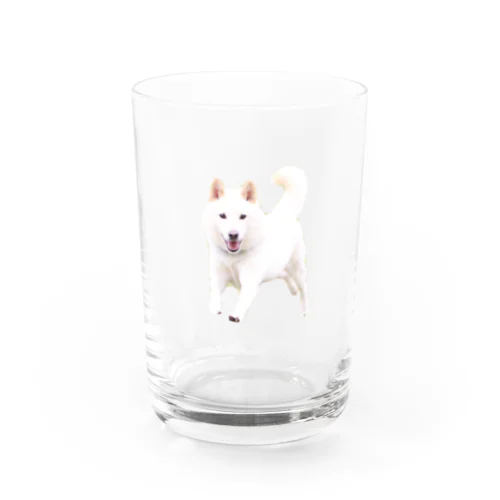 とびだせチロちゃん！ Water Glass