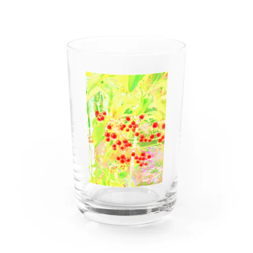 まあるい実(赤) Water Glass