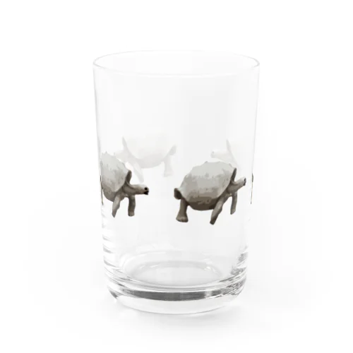 ガラパゴスゾウガメ Water Glass