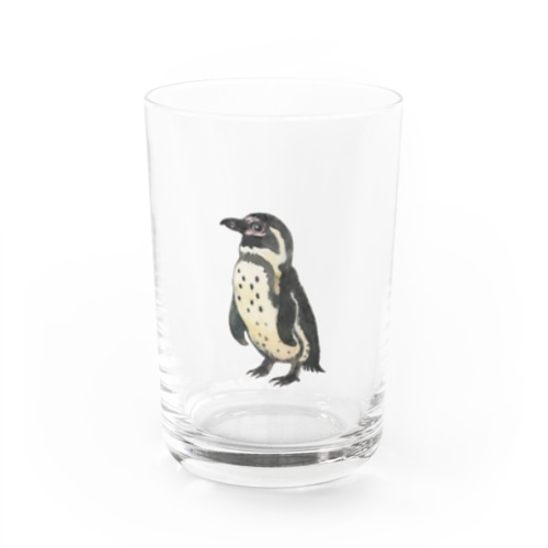 フンボルトペンギン Water Glass