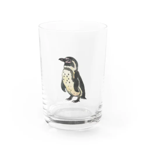 フンボルトペンギン Water Glass