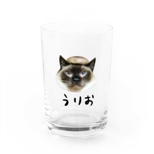 椎茸を被ったうりお君 Water Glass