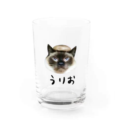 椎茸を被ったうりお君 Water Glass