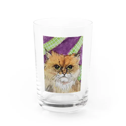 ブサイク猫 Water Glass