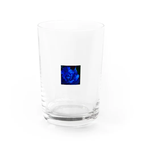 蒼色…葉牡丹 Water Glass
