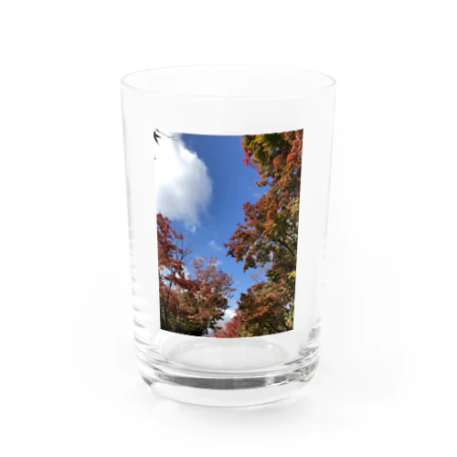 秋の景色 グラス