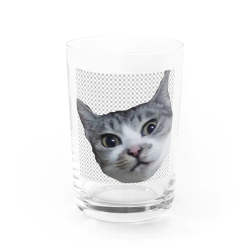 ★猫★ショコちゃんシリーズ Water Glass