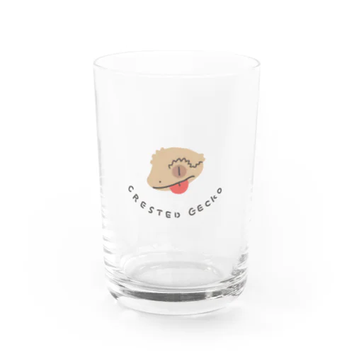 クレステッドゲッコー  Water Glass