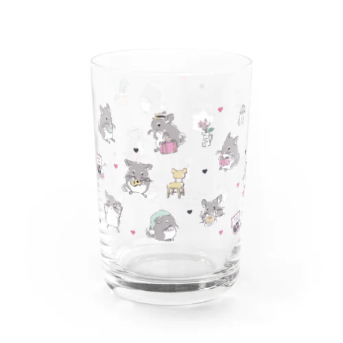 チンチラ Lifestyle Water Glass