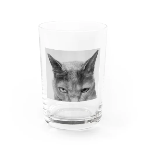 般ニャ Water Glass