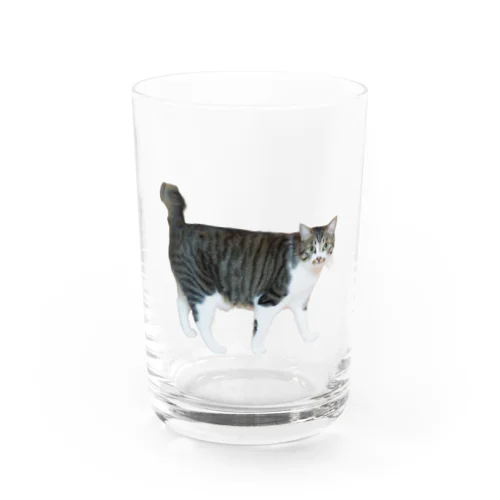 ぶんっ Water Glass