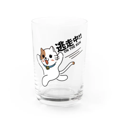 逃走中 Water Glass