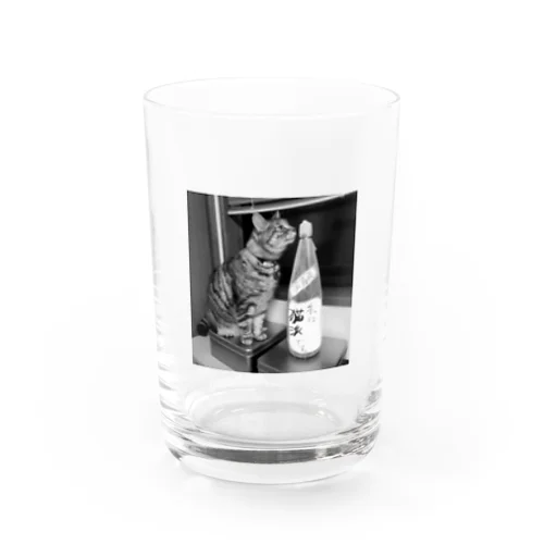 猫派酒と猫派猫 Water Glass