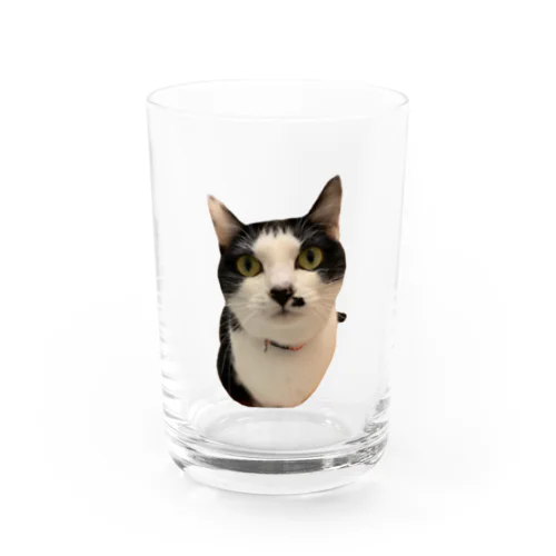 ぼたんちゃん　その1 Water Glass