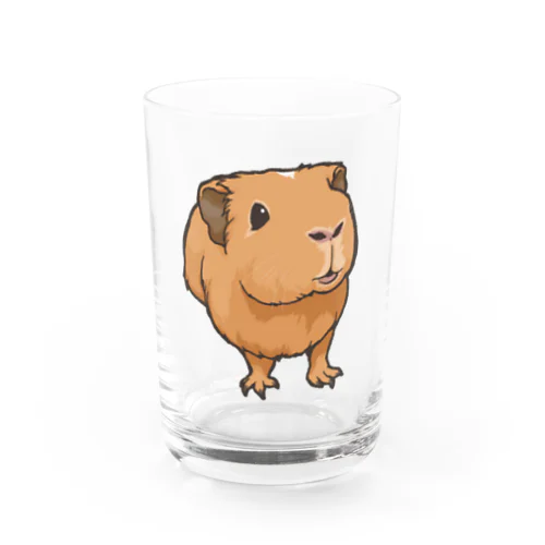 Camelちゃんグッズ Water Glass