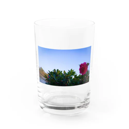 SATF Water Glass