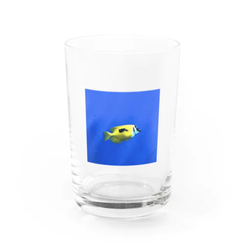 Fish＆Blue Water Glass