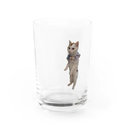 立ち猫華っち Water Glass