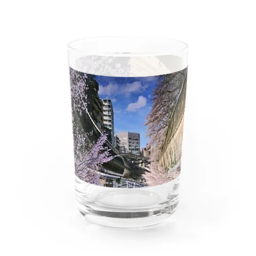 桜降る川空へ。 Water Glass