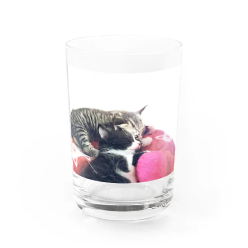 ねこねこ Water Glass