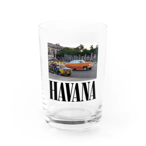 HAVANA - smells likes weed spirit  Water Glass