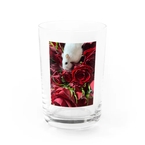 薔薇とハムちゃん グラス