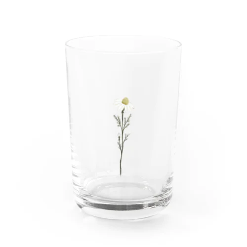 donguri to ie.×くるもり雑貨店コラボカミツレ Water Glass