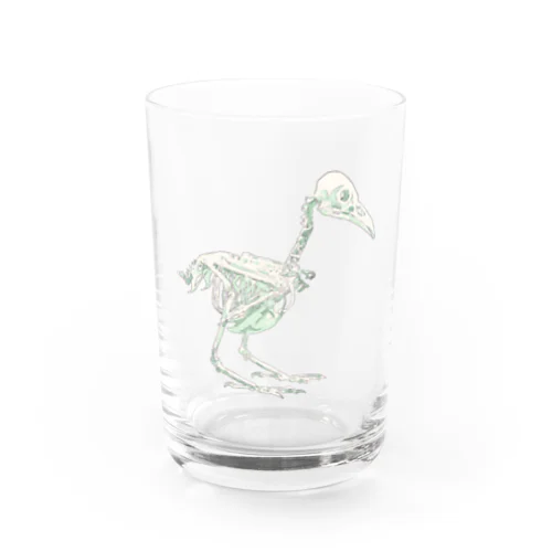 ハシボソガラス(骨) Water Glass