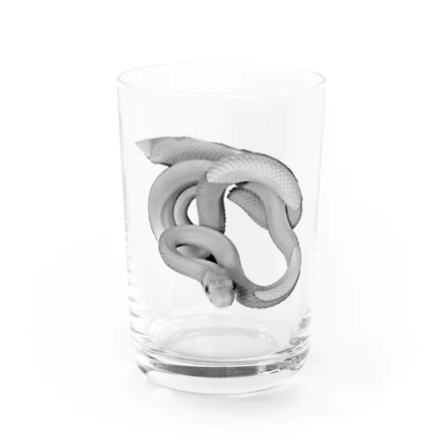 白蛇 透け感 Water Glass