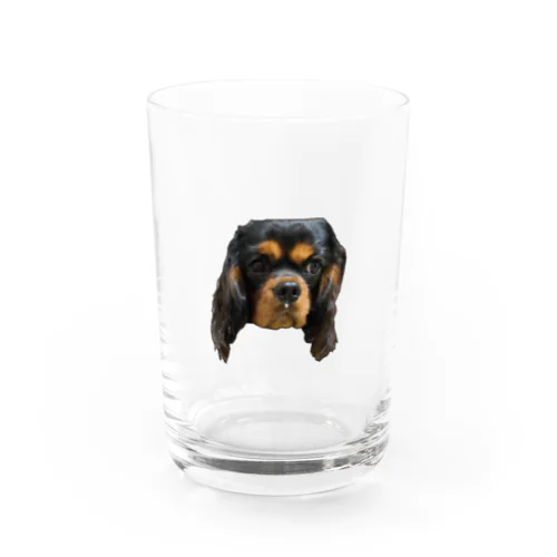 鼻水垂れ犬 Water Glass