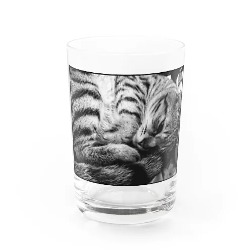 微睡みのＲ(白) Water Glass