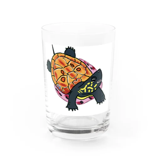 子亀のクサガメ Water Glass