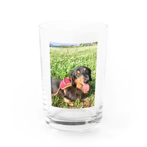 満足犬 Water Glass