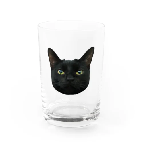 猫の九太郎 Water Glass