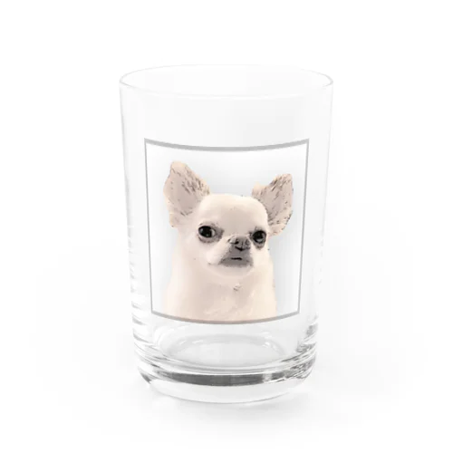 シュールまるたろう（看板犬） Water Glass