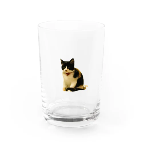 マーたん Water Glass