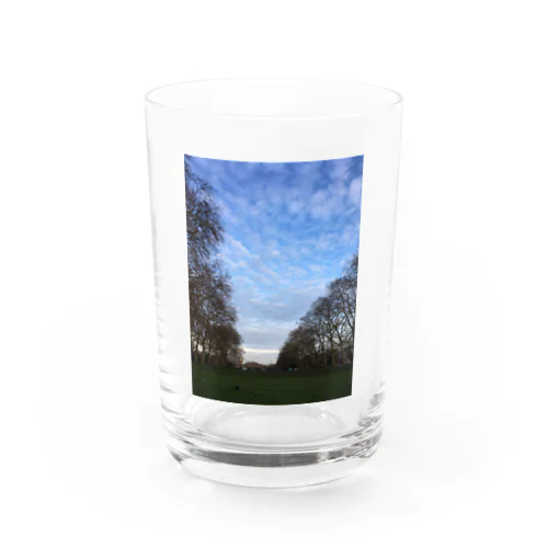 空と並木道 Water Glass