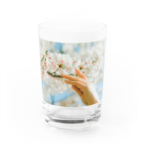 さくらをつめこんで Water Glass