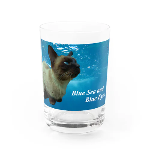 青い海と青い瞳のシャム猫 Water Glass