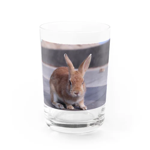 焦げたウサギ Water Glass