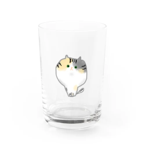 あたまでっかち猫のらむ Water Glass
