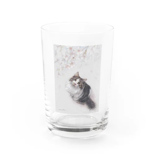 桜の下のそら Water Glass