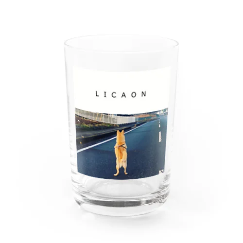 STAND UP LICAON Water Glass