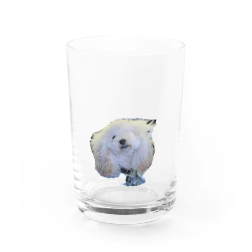 ここちゃんグラス Water Glass