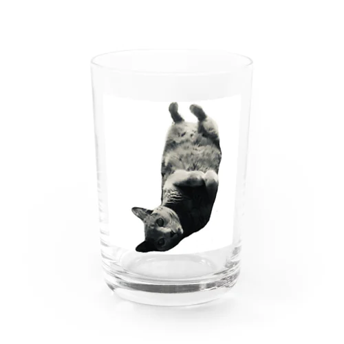 逆さ猫 Water Glass